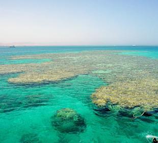 Schnorchel-/Tauchtrip Tiran Island