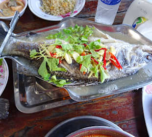 Mittagessen, mitten im Meer