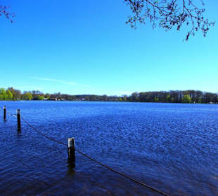Der große Dutzenendteich