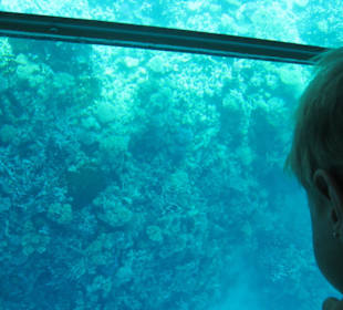 Экскурсия на "Тримаре"