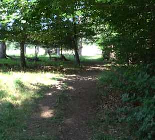 Premiumwanderweg "hochgesprudelt"