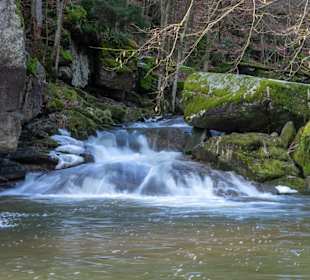 Naturschutzgebiet Feldkirchen-Pesenbachtal