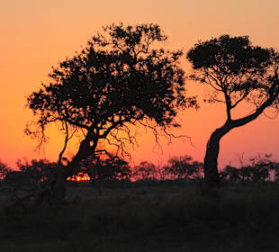 Sonnenuntergang im Okavangodelta