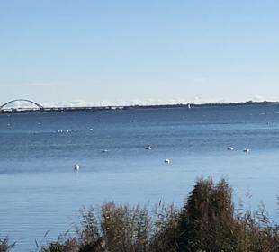 Strand Fehmarn