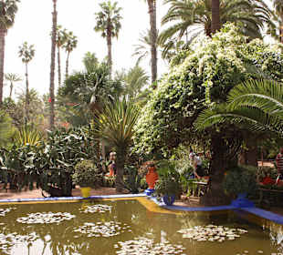 Teich mit Schildkröten