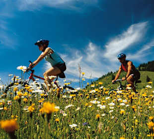 Radwandern im Tannheimer Tal