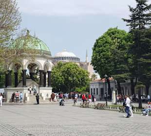 Aus- und Einblicke...