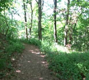 Wanderweg Sieben-Täler-Runde 