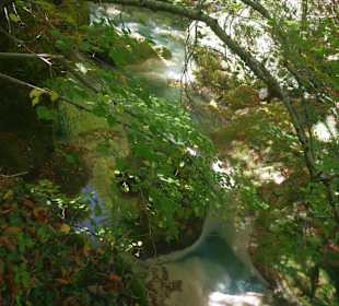 Горный нацпарк Истоки реки Уредерра, Наварра