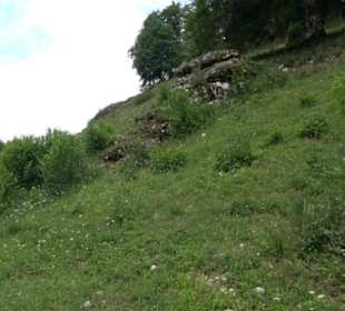 Tiefental Aichstetten