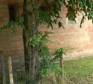 Baumlehrpfad Glacis Park