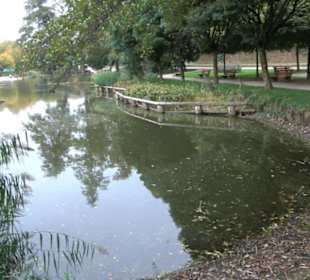 Baumkronenweg Waldkirch
