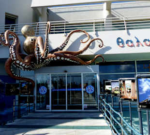 Aquarium