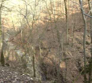 Premiumwanderweg Hohenwittlingensteig