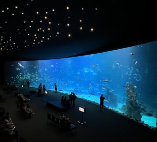 Aquarium