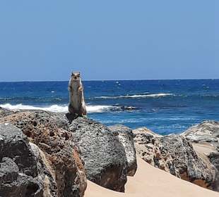 Strand Playa del Castillo