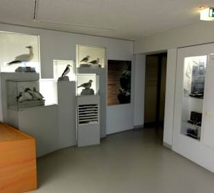 Vogelkundliche Ausstellung