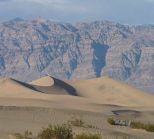 Mesquite Sand Dunes