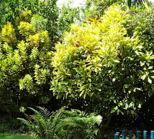 Rundgang durch den Jardin d´Eden