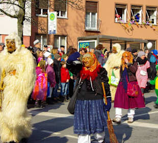 Nürnberger Faschingsumzug 2013