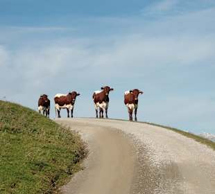 Wandern Maria Alm