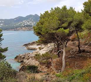 Höhlen von Arta/Cuevas de Artá