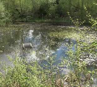 Naturerlebnisweg des NABU-Metzingen