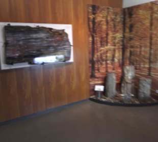 Mineralogisches Museum