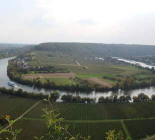 Neckarschleife von der Kanzel