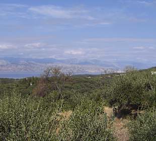 Taverne Sunset Ausblick