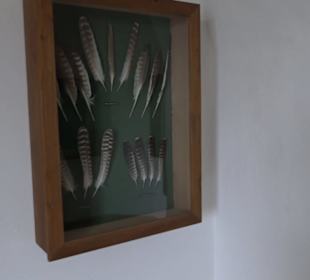 Museum Rosenburg