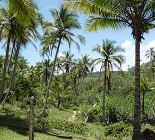 Auf dem Weg zum Prainha