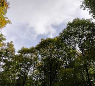 Impressionen Felsengarten