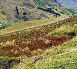 Rundreise durch Ecuador
