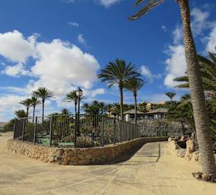 Strandwandern Costa Calma