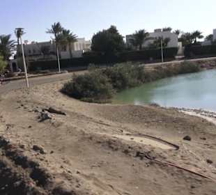 Abydos Marina