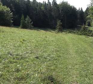 Wacholderheide Sternberg