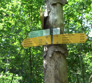 Rundwanderung Klingenbachtal - Sulzbachsee