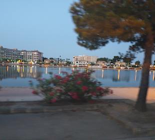 Stadtrundfahrt Alcudia