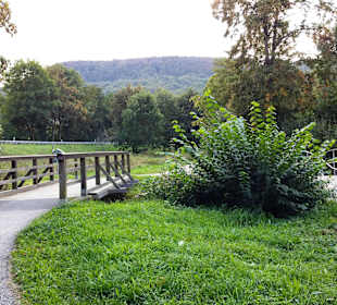 Kleine Brücken Bachzulauf