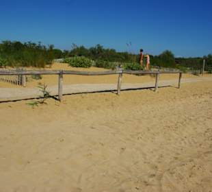 Stege aus Holz
