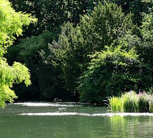 Der See im Waller Park