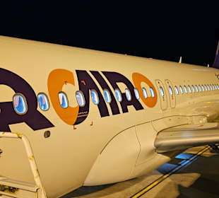 Flughafen Marsa Alam (RMF)