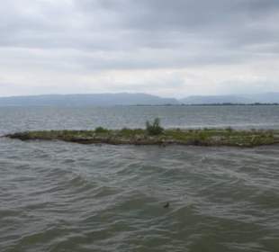 Fahrt mit Linienboot auf Altem Rhein und Bodensee