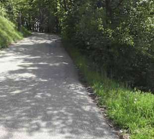 Kreuzweg auf dem Hohenrechberg