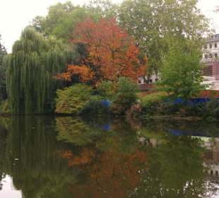 Herbstimpressionen am großen Weiher