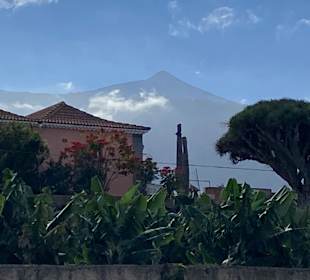 Wandern Wanderstab Puerto de la Cruz