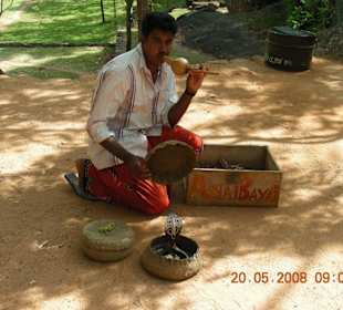 Schlangenbeschwörer