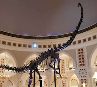Dubai Dinosauerier
