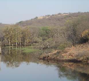 Ranthambore N.P.